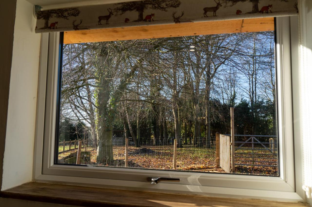 Rose Hideaway - Forest Of Dean Cosy Cabin Retreat Yorkley Exterior foto